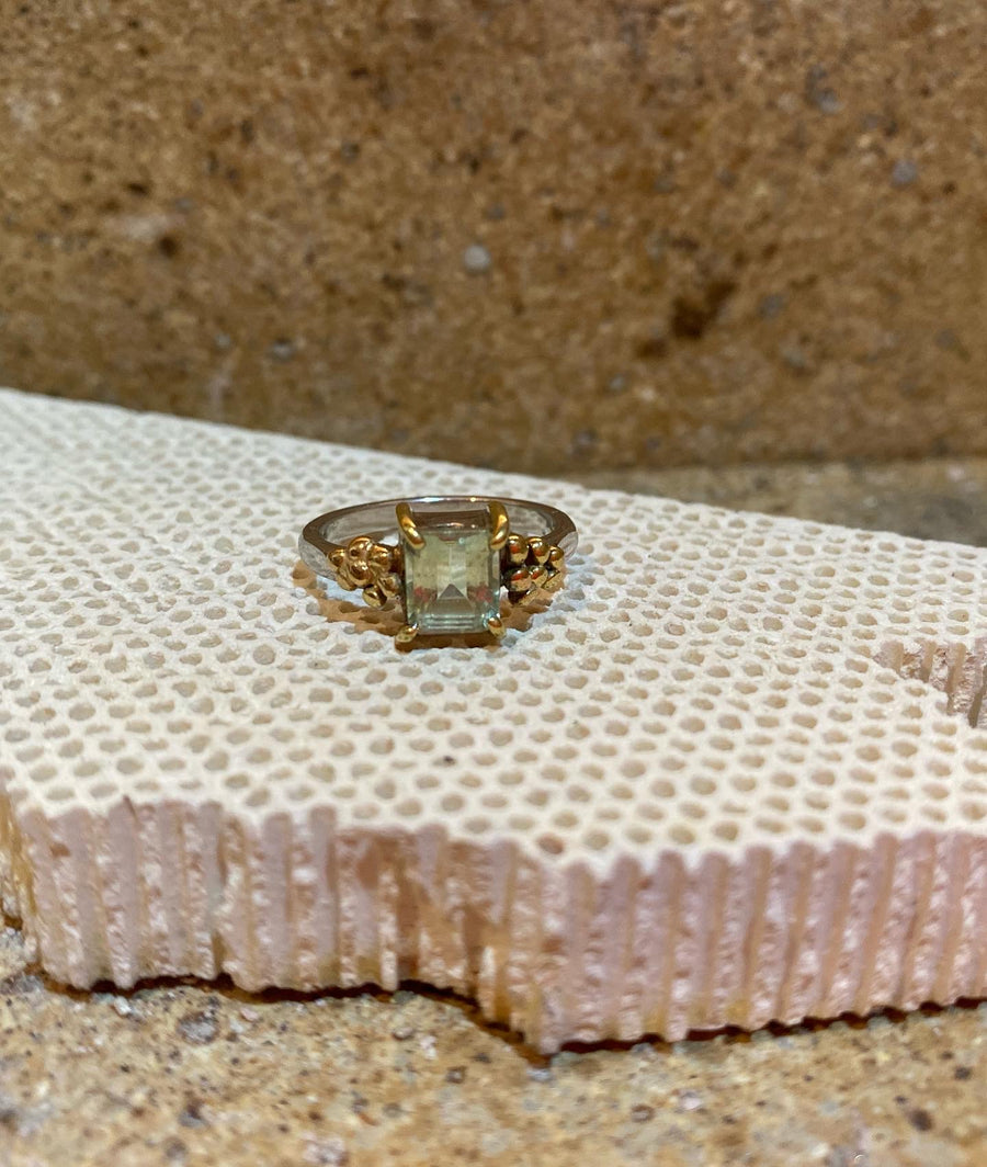 ANILLO 1