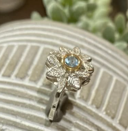 ANILLO 3